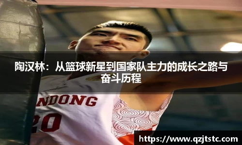 陶汉林：从篮球新星到国家队主力的成长之路与奋斗历程