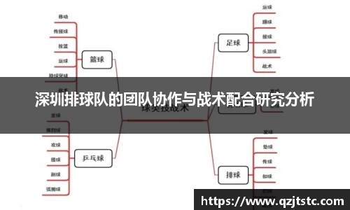 深圳排球队的团队协作与战术配合研究分析